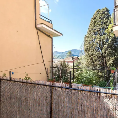 Joivy Pesto Rapallo