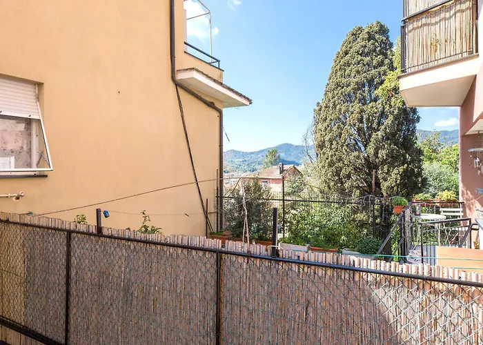Joivy Pesto Rapallo