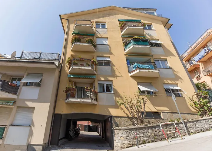 Joivy Pesto Rapallo